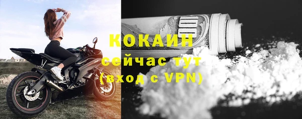 спайс Баксан