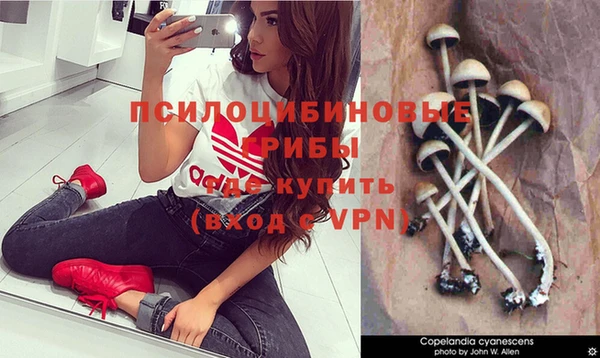 Альфа ПВП Балабаново