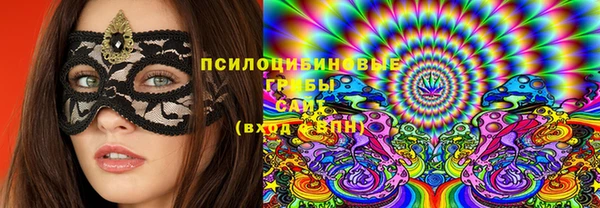 спайс Баксан