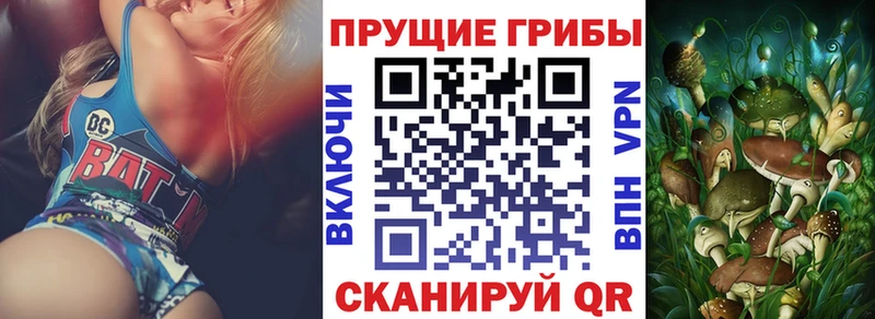 OMG   Янаул  Галлюциногенные грибы MAGIC MUSHROOMS  магазин продажи наркотиков 